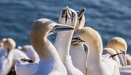 kaiyun官方入口登录-马德里竞技不敌曼城，憾失欧冠四强，马德里竞技欧冠最好成绩