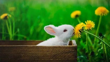 kaiyun官方入口登录-马德里竞技不敌曼城，憾失欧冠四强，马德里竞技欧冠最好成绩